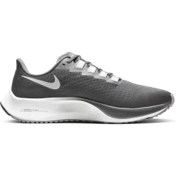 Men's Nike Pegasus 37 BQ9646-009
