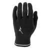 Mizuno BT Thermo Knit Gloves 421734.9090